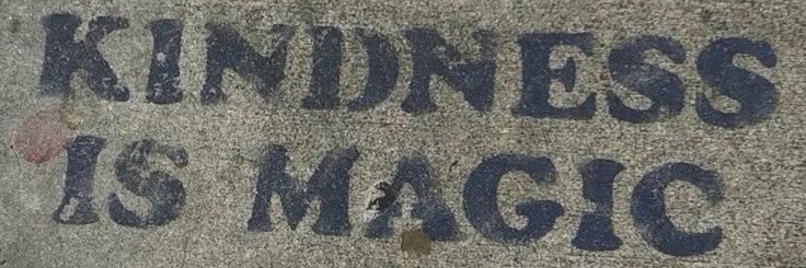 Nature & Noise's banner