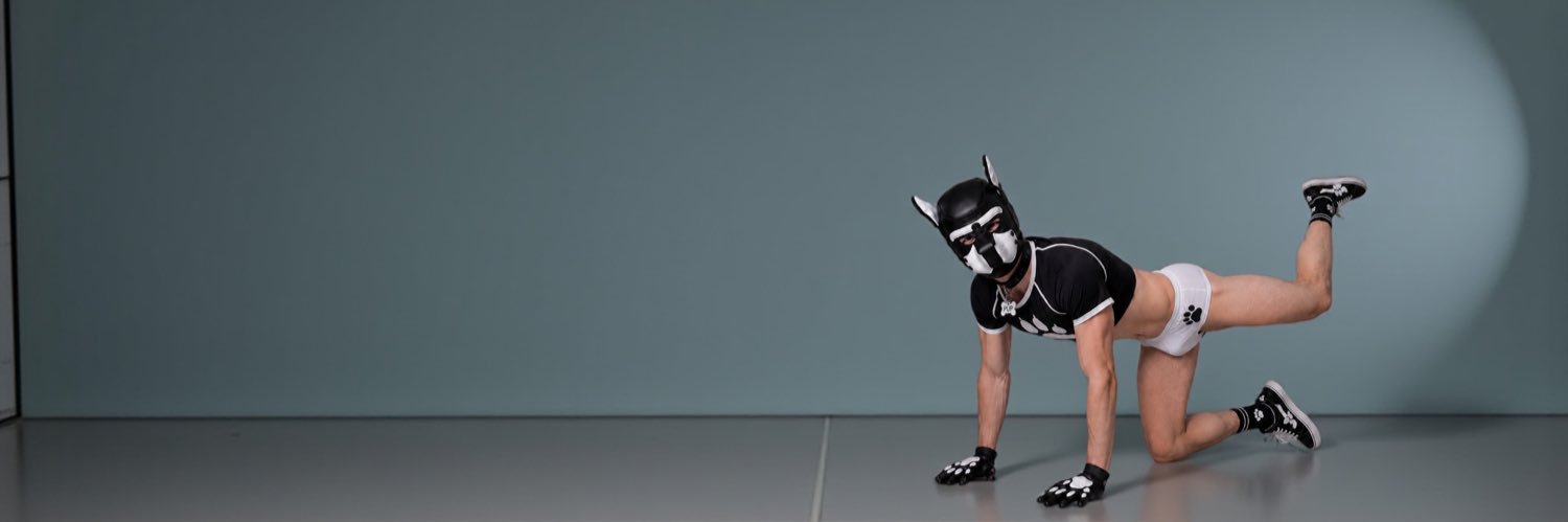 Pilo - The Pup's banner