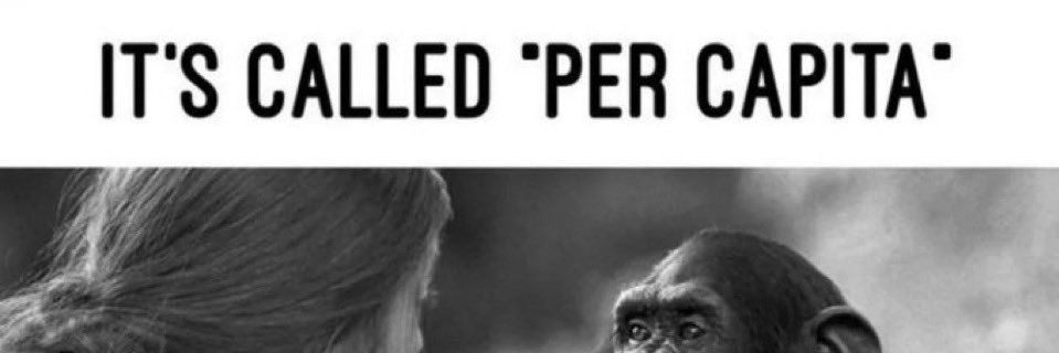 Chimp Out's banner