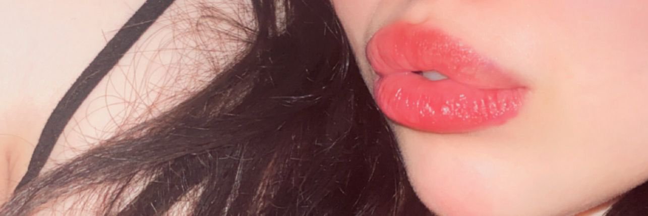 𝕭𝖎𝖘𝖔🐆's banner