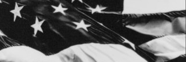 Harry Payne 2.0's banner