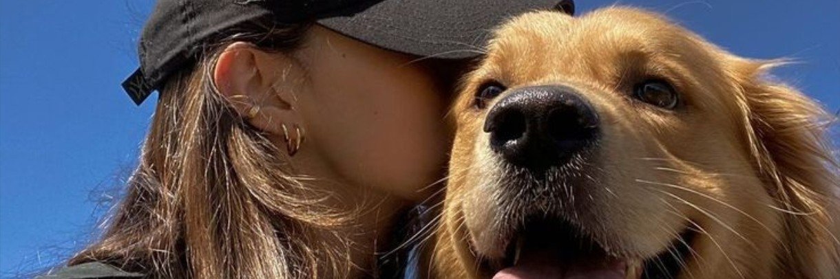 Doggo buzz 🐾's banner