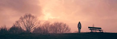 miaoomm's banner