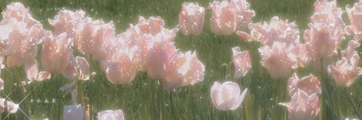 Maria's banner