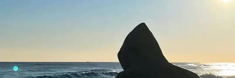 JMax's banner