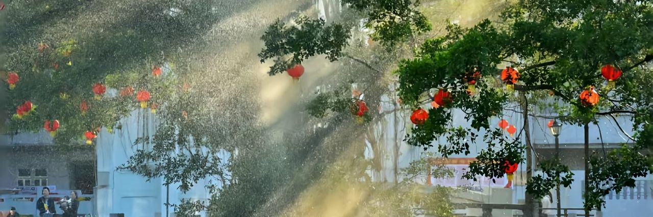 小琪爱吃甜's banner