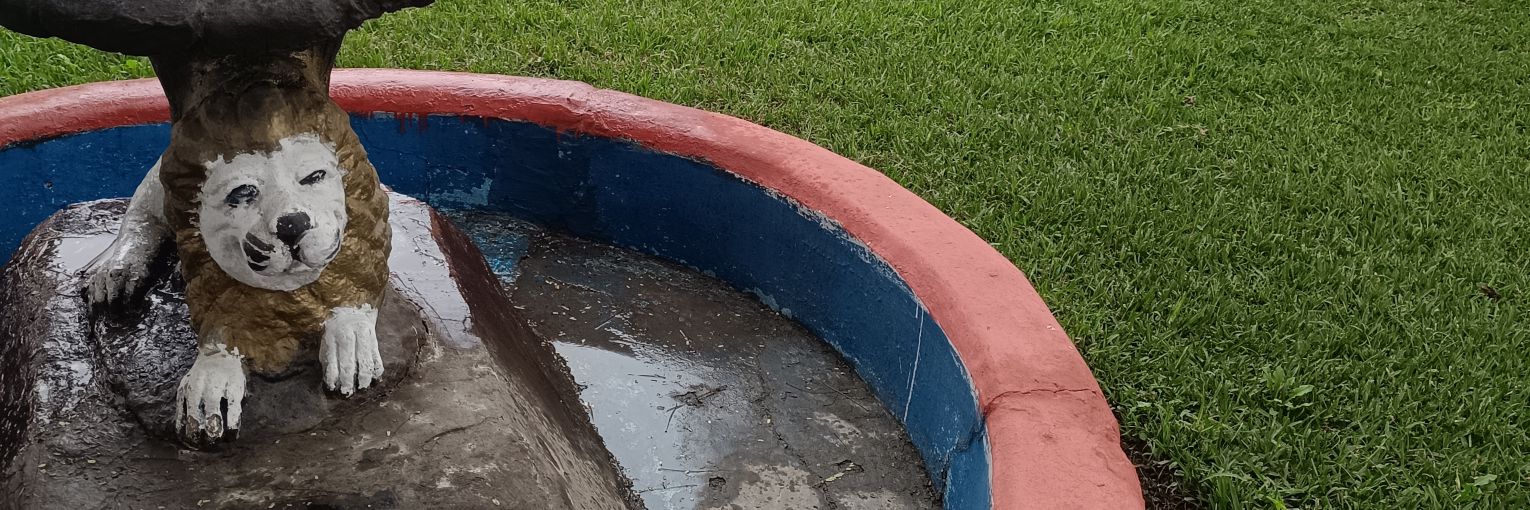 militar lechero 🍼 activo's banner