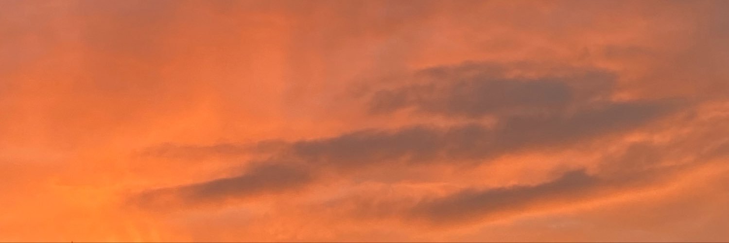 ✮ ⋆ ˚｡𖦹 ⋆｡°✩'s banner