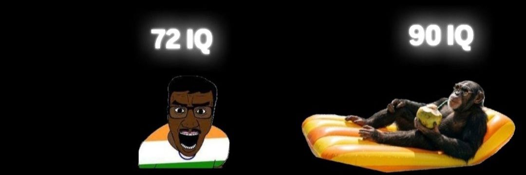 The Most Indian Things's banner