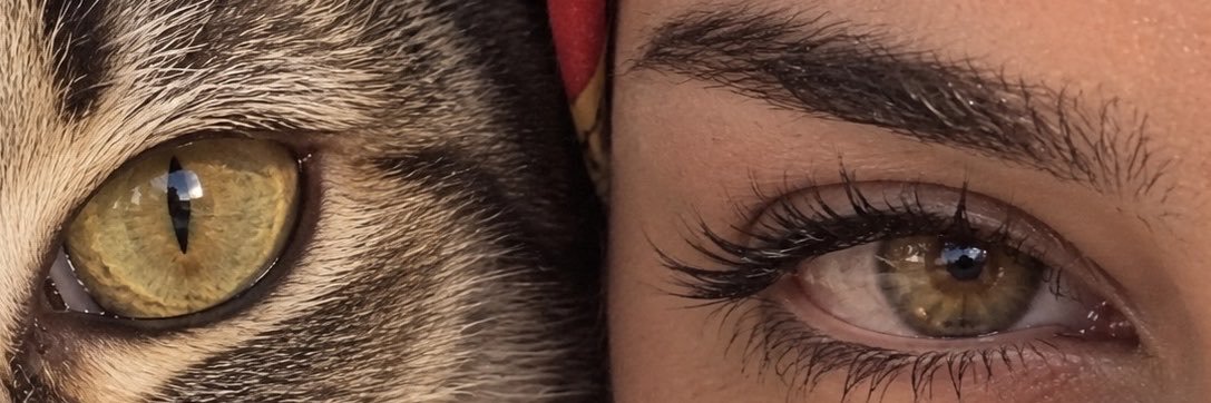 Nur🇹🇷's banner