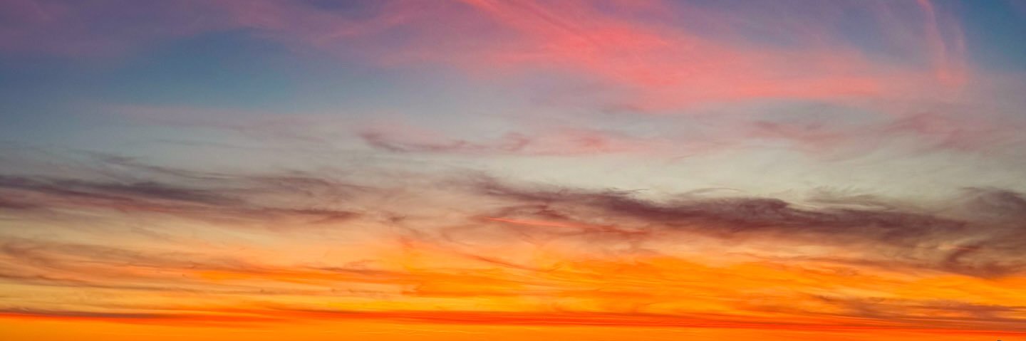 🌴🍃's banner