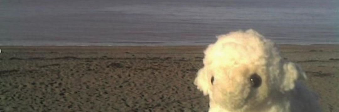 pathetic bunny 💜's banner