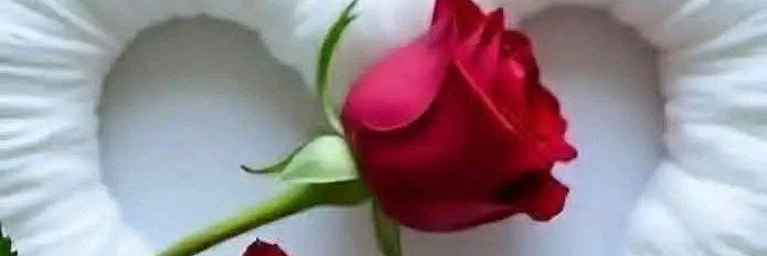 عالم الموسيقى 🌹's banner