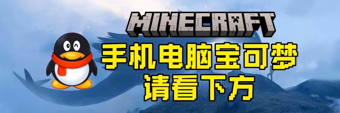 我的世界皓辰's banner