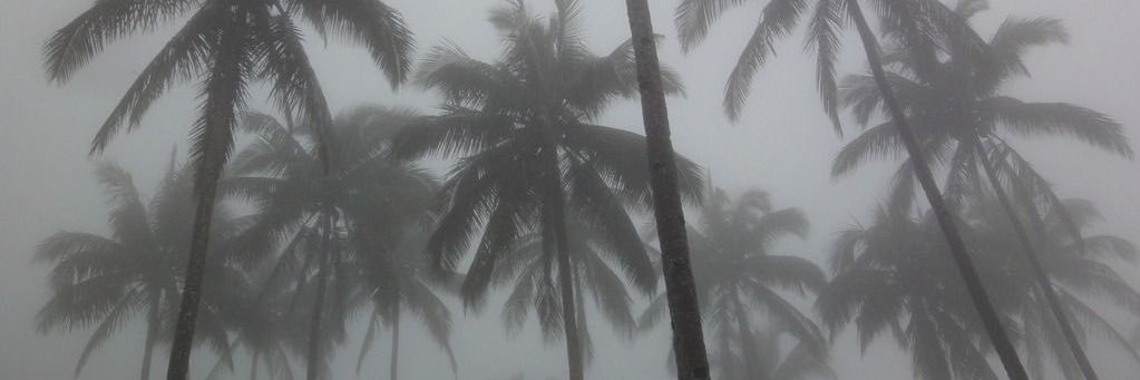 SinAudios.'s banner