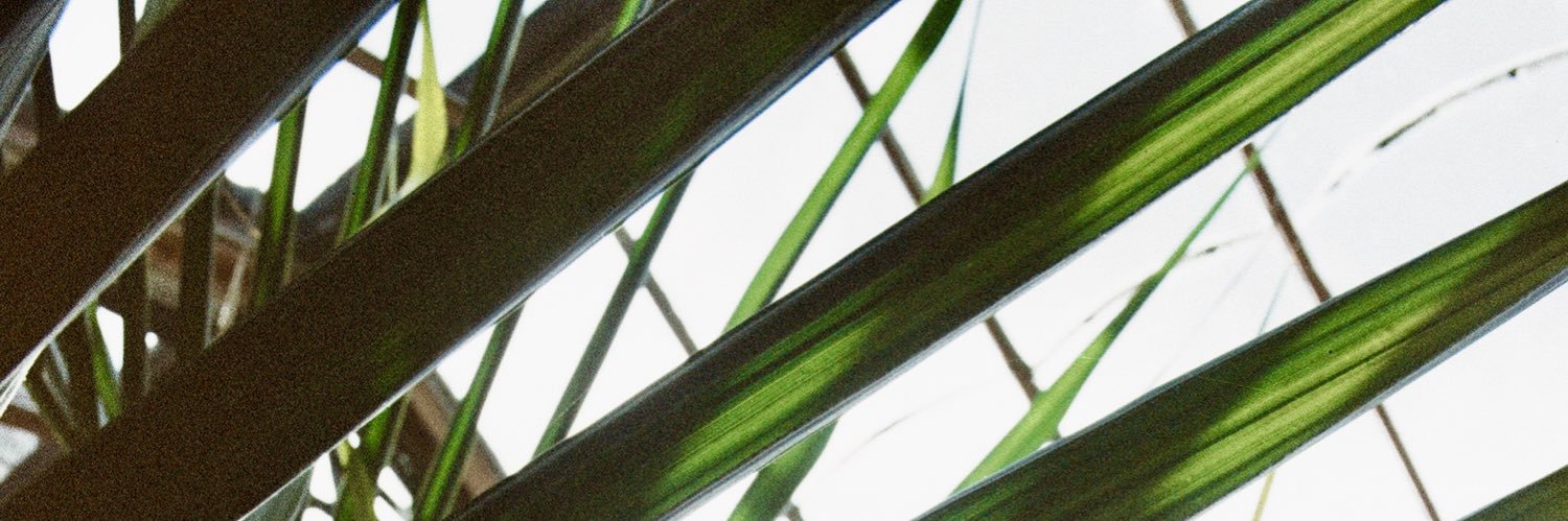 Steff's banner