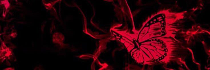 𝒮𝓊𝓃 𝒟𝒶𝓎's banner