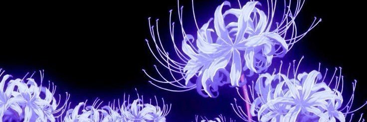 Nsfw pinku's banner
