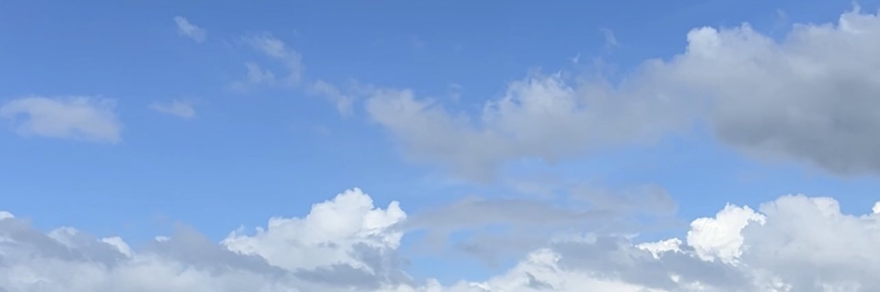 PUNn's banner
