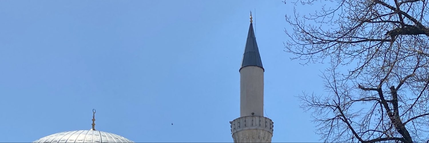 lovezeub's banner