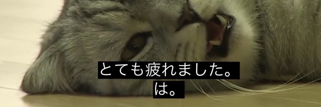 さぼこ's banner