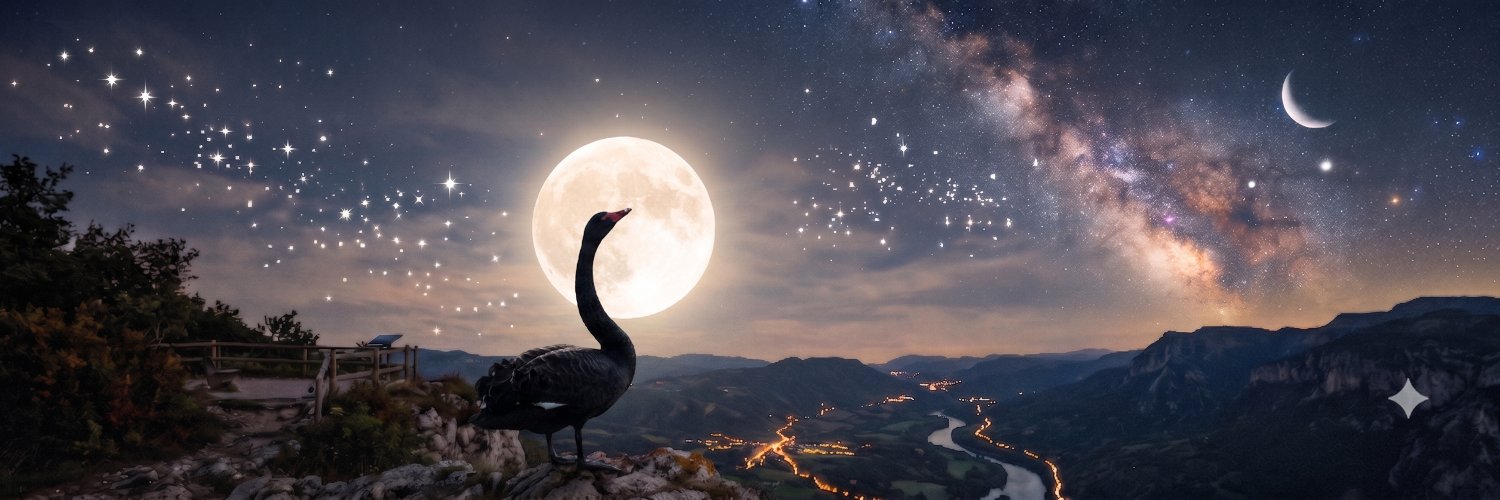 520_themoonandback's banner