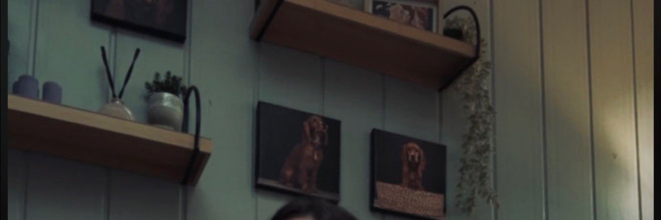 Anna's banner