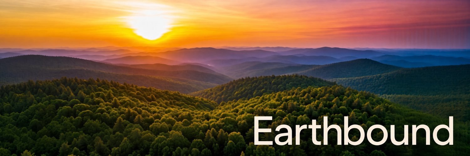 EarthBound🌍's banner
