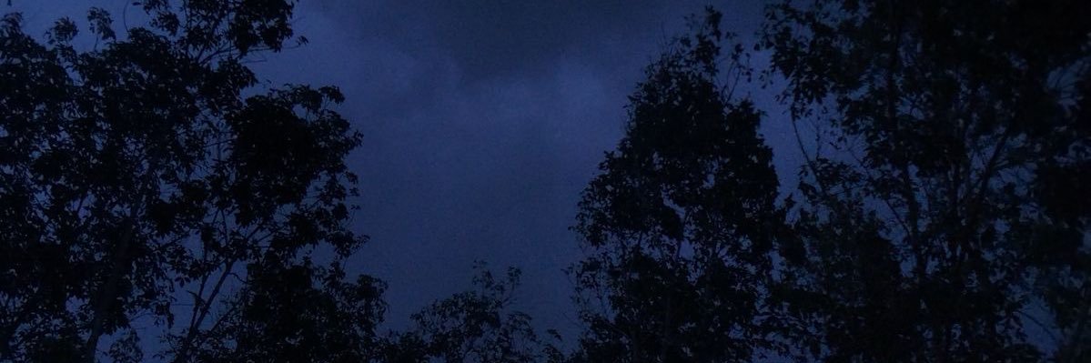 ❀'s banner