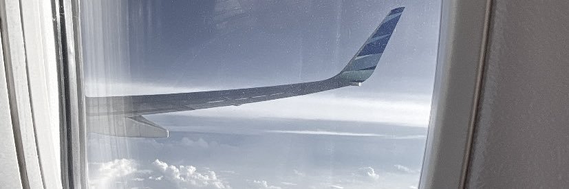Lie's banner