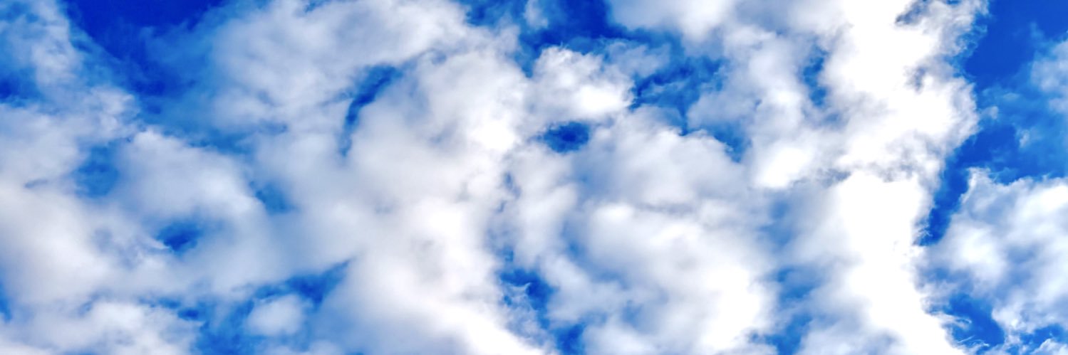 海空（みく）☀️ NEXT→ 8/31 僕が見たかった青空 アオゾラサマーフェスティバル2026参戦's banner