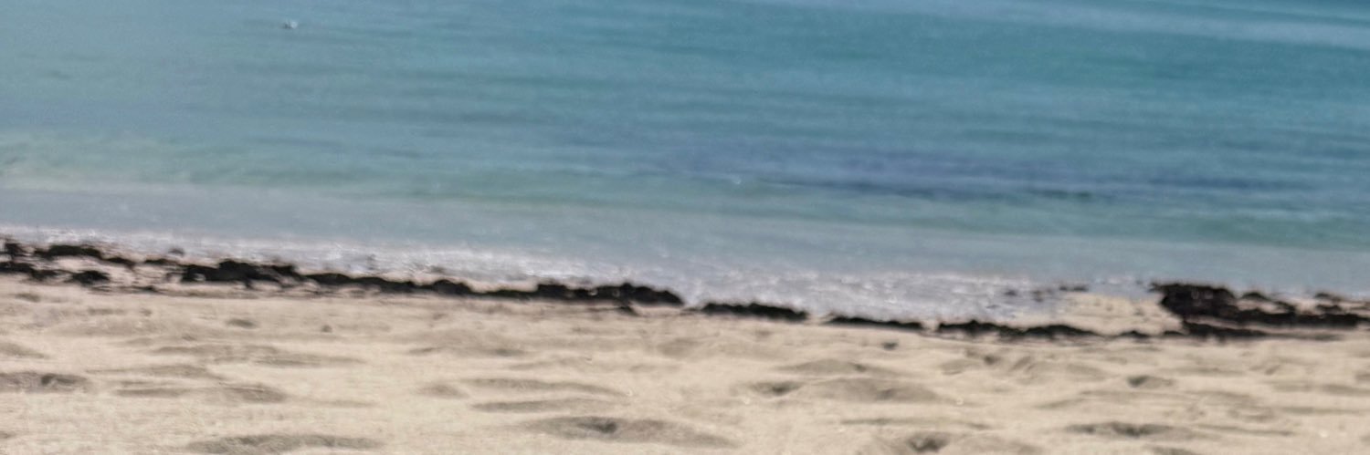CountryWife's banner