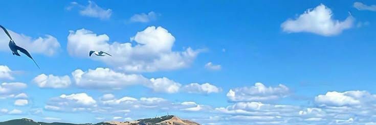 سندس's banner