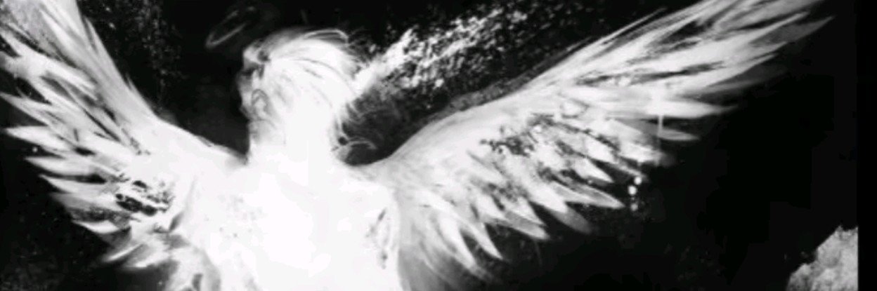 v3n0m's banner