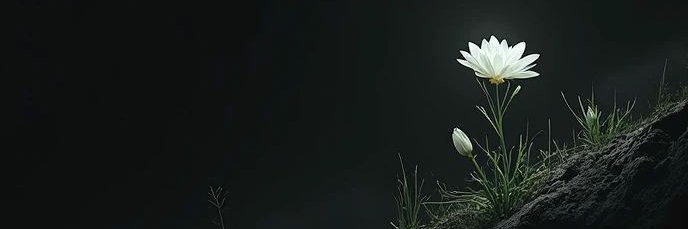 UNKNOWN.'s banner