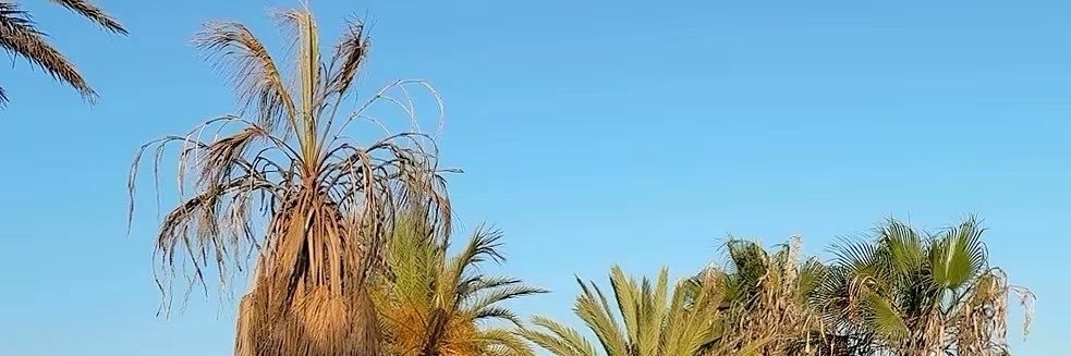 Doll Emzs👧🏼🏴󠁧󠁢󠁳󠁣󠁴󠁿💕's banner