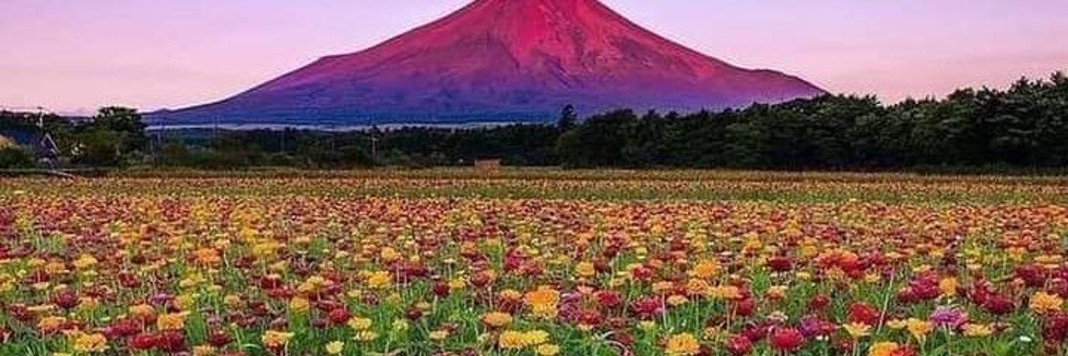 حصريات مشاهير's banner