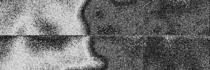 Tina Pie's banner