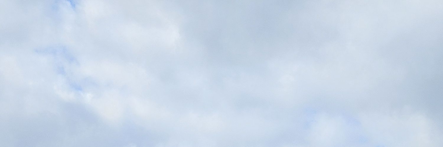 빛하✨️🌫✨️'s banner