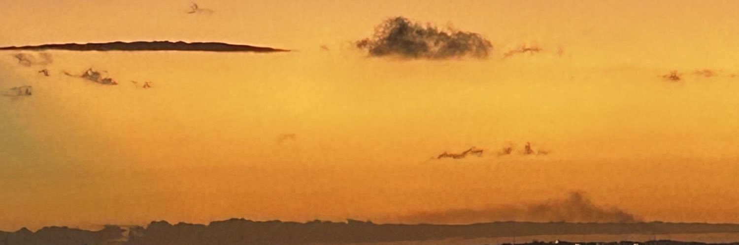 Bad Guy's banner