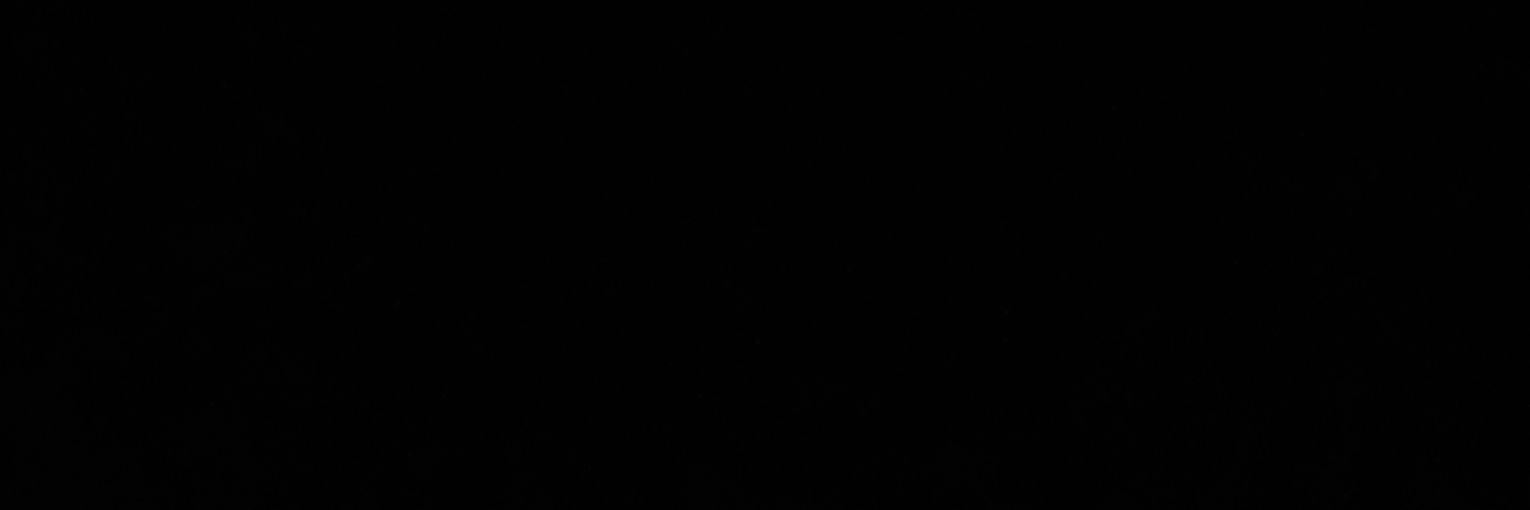 SEX's banner