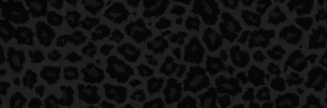 bella's banner