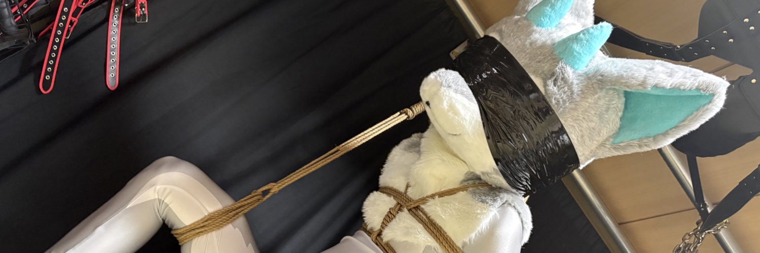 Seal's banner