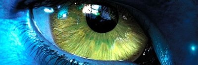 Nazlı's banner