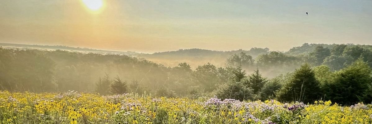 Donna Chase's banner