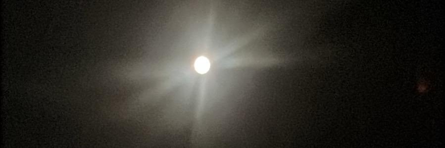 Luna's banner