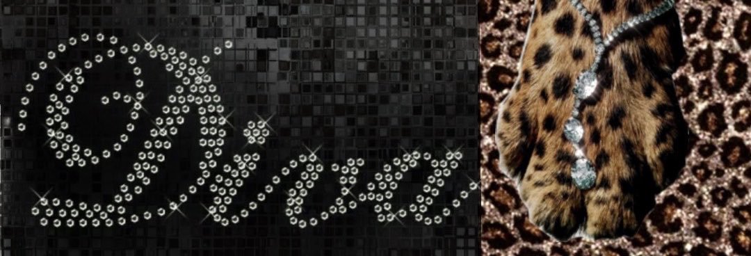 princesa 𓏲ּ𝄢*·˚ ⋆˚✿˖°'s banner