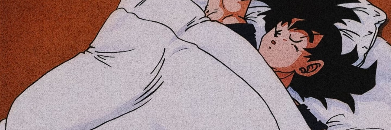 摆摆's banner