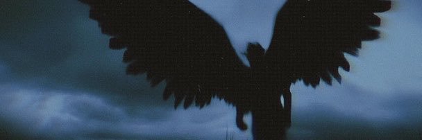 Vell's banner