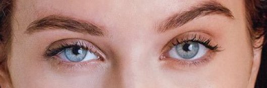 Lana Rhoades Daily's banner